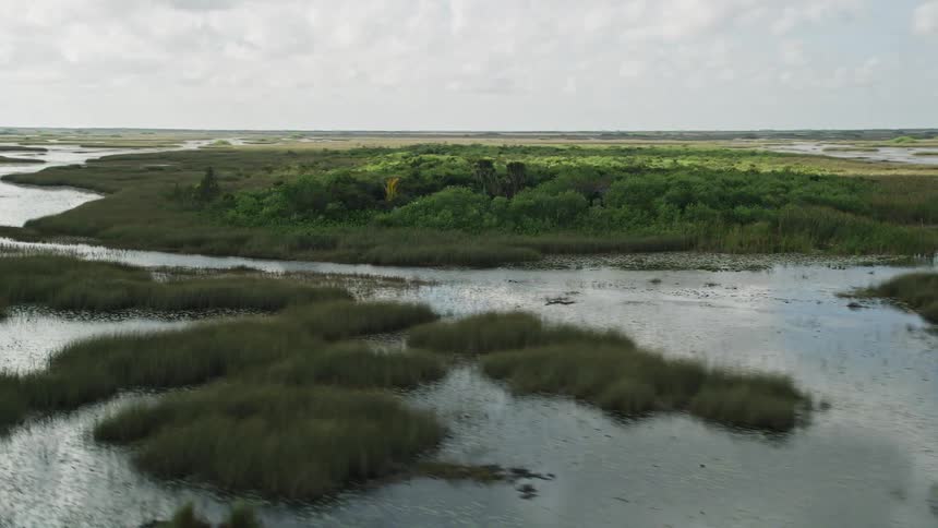 An aerial view capturing the green lush vegetation on marshes in Florida Everglades during the daytime