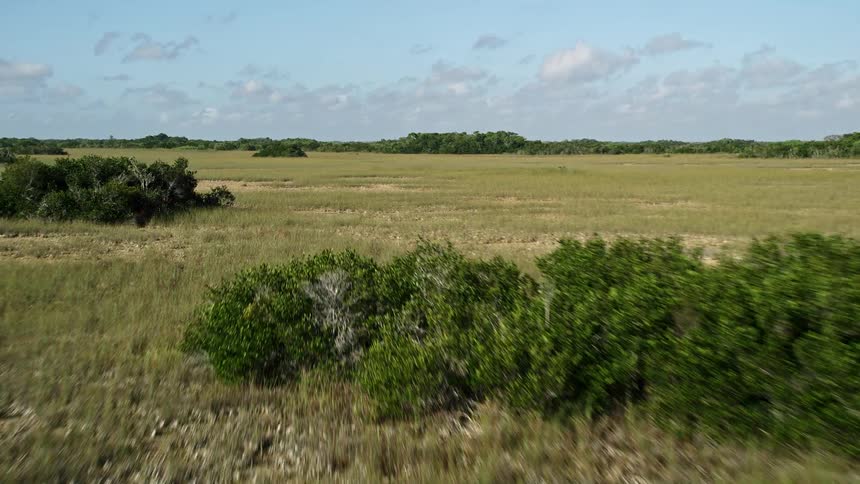 Flying low over the marshland of the Florida Everglades revealing a scenic countryside road