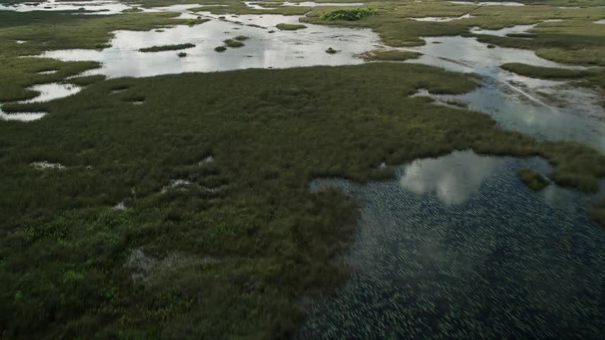 A breathtaking aerial view of marshlands while flying over the Florida Everglades in South Florida during a partly cloudy day