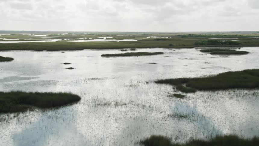 Flying over Florida Everglades wetlands and marshes during the day capturing the natural landmarks and beauty of the famous landscape below