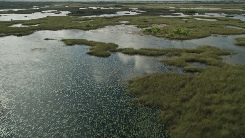 A stunning aerial view of marshlands and wetlands in Floridas Everglades with a tilt down to the water and fungus visible perfect for sightseeing and recreation
