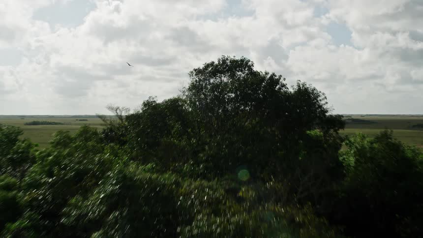 A low altitude aerial footage showcasing natural landmarks as the camera flies over an expansive wetland area filled with vegetation in the Florida Everglades National Park