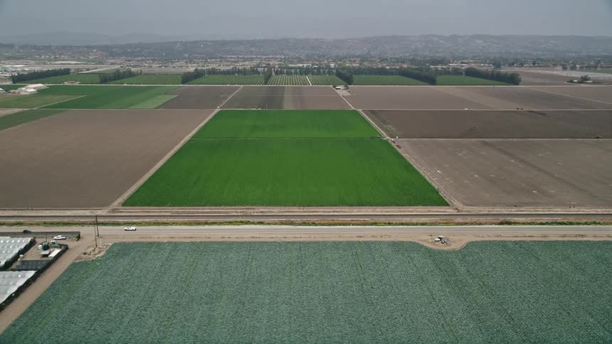 Aerial flyby of green crop field alongside a country road in Camarillo California with cars passing by