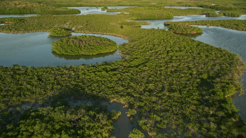 Aerial footage capturing the beauty of mangrove islands during dusk at Long Key Florida