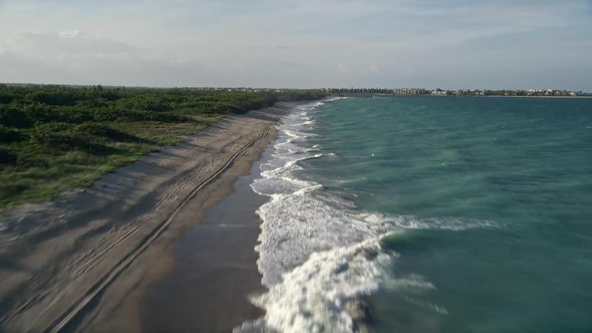 A stunning aerial view of waves crashing onto an empty beach with a dense forest and a suburban neighborhood visible in the distance