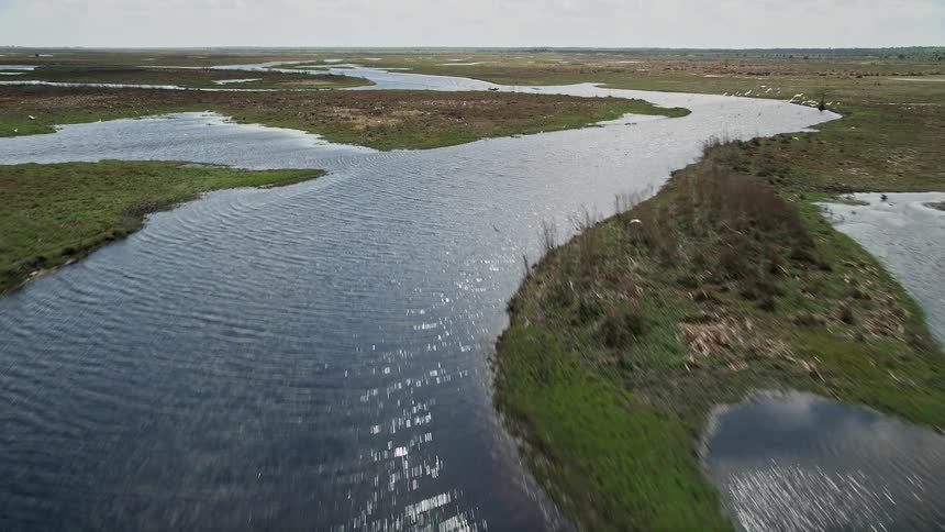 Aerial footage of rivers and marshlands in Cocoa Florida capturing flocks of birds and speedboats