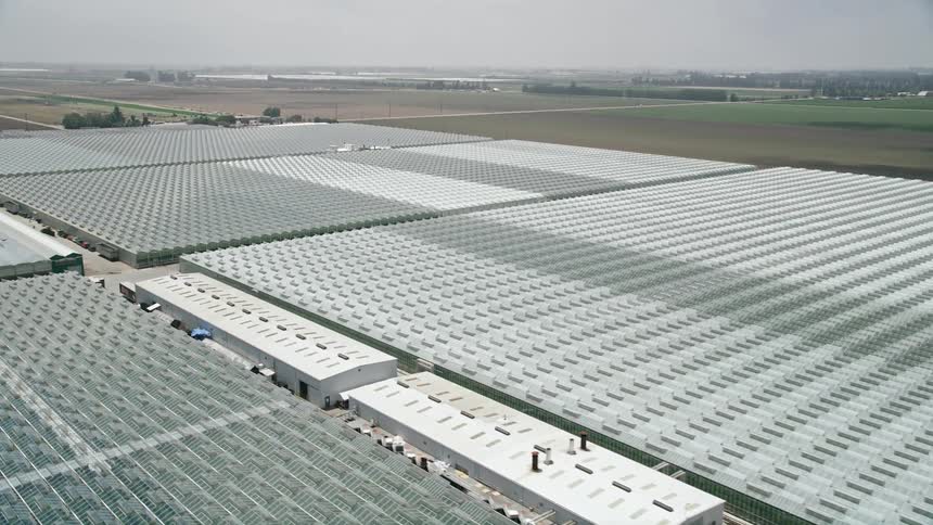 Aerial view of sprawling greenhouses in Camarillo CA amidst a sunny day