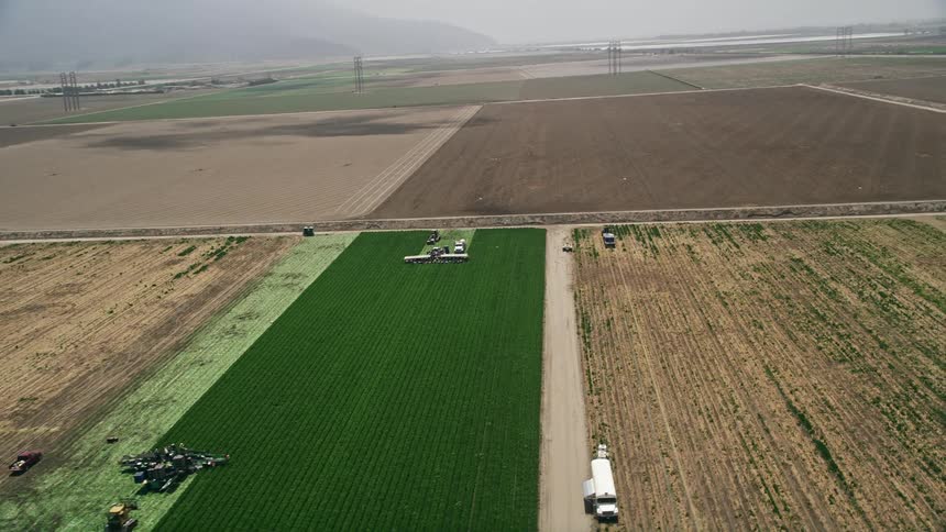 Aerial footage of farm workers in Camarillo California tending to crops while a second group is revealed flying away