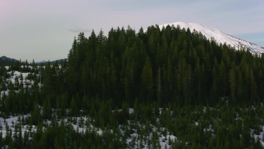 A snow capped mountain looms over a mountainous countryside covered in forest