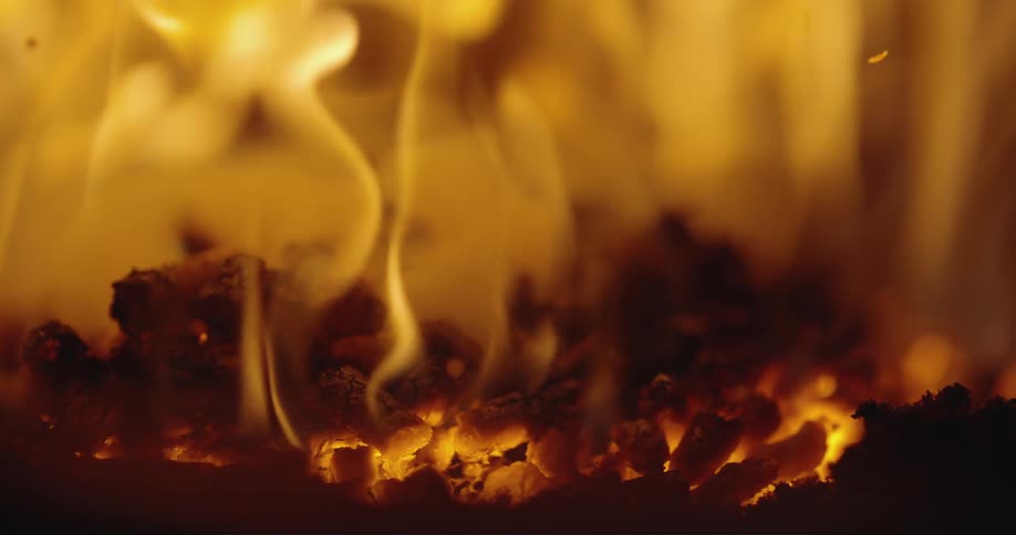 A bonfire burning wood