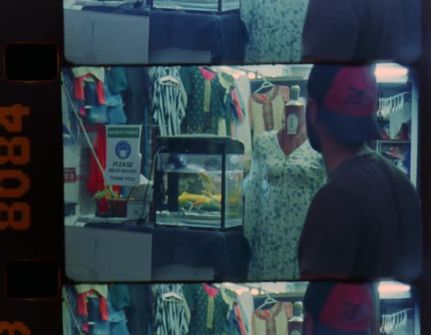 A man and a woman look at goldfish swimming in an aquarium in a store