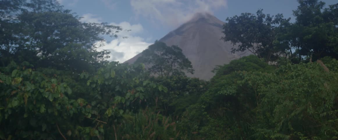 A volcano behind a forest