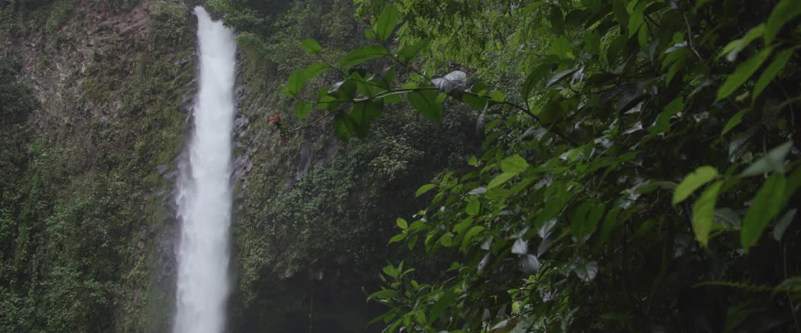 A waterfall in a forest