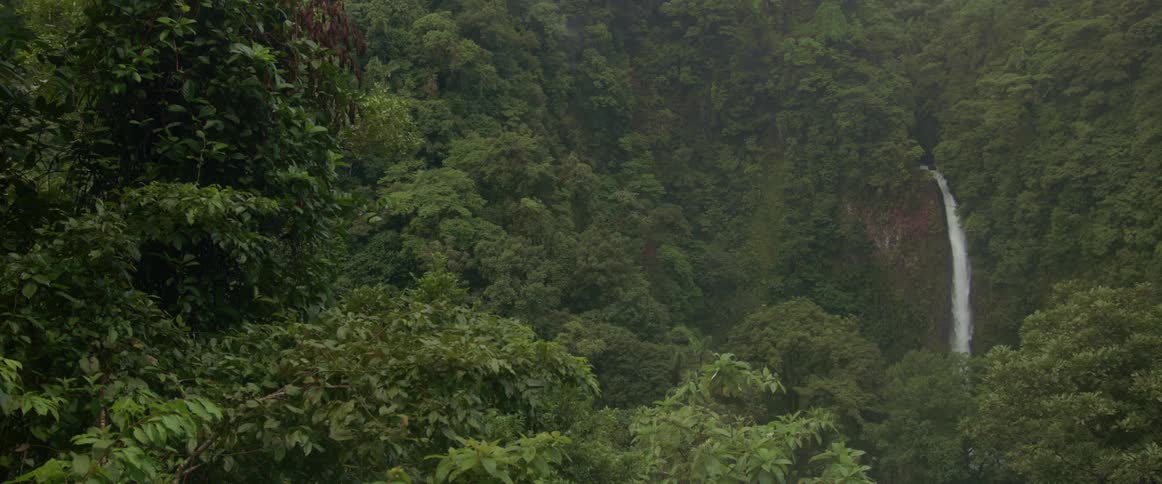 A waterfall in a mountain forest