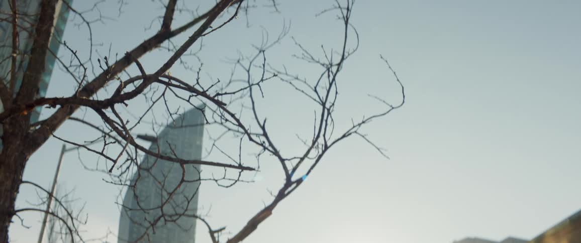 Toronto City Scenics