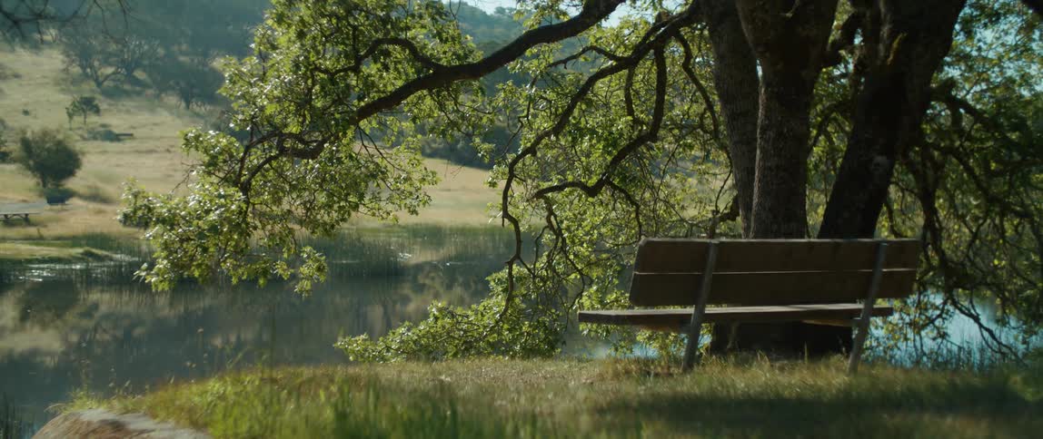 A bench sits next to a riverbank