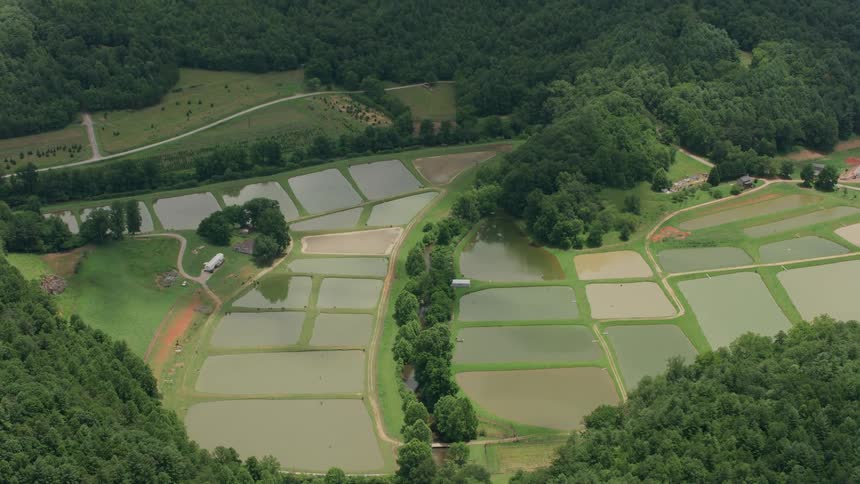 Plots of land are divided in the countryside