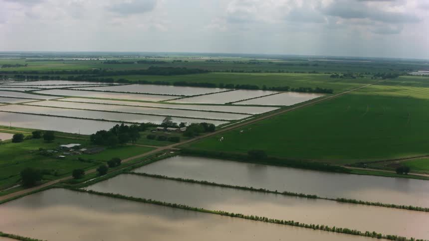 Water fills man made ponds in a vast open field