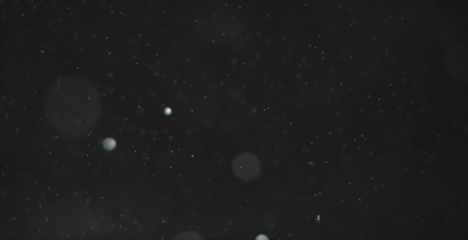 Particles are floating in a liquid suspension