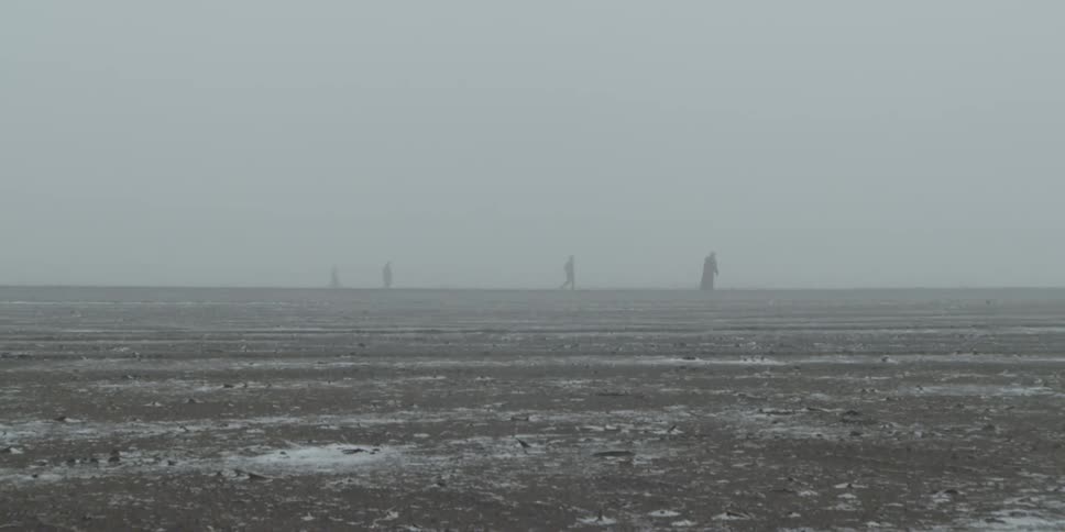 Several people walk in a muddy field on a foggy day