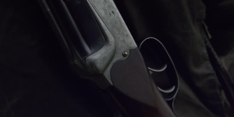 A person is holding a rifle outside in daylight
