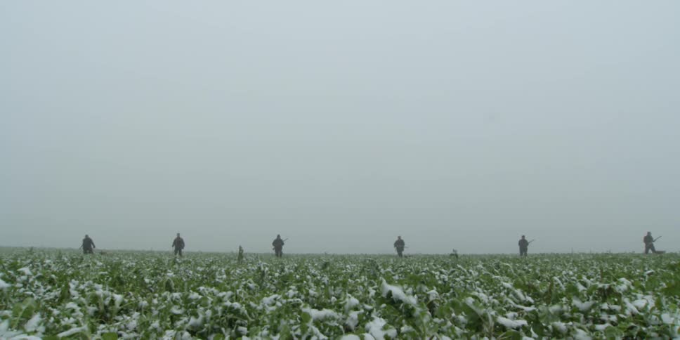 Group of people walk in a field of greens