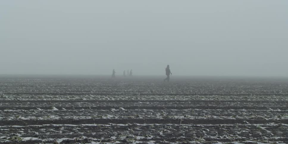 A group of hunters are walking through a field on a foggy winter day