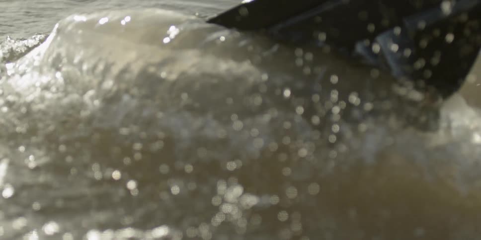 A person is putting a boat paddle in the water