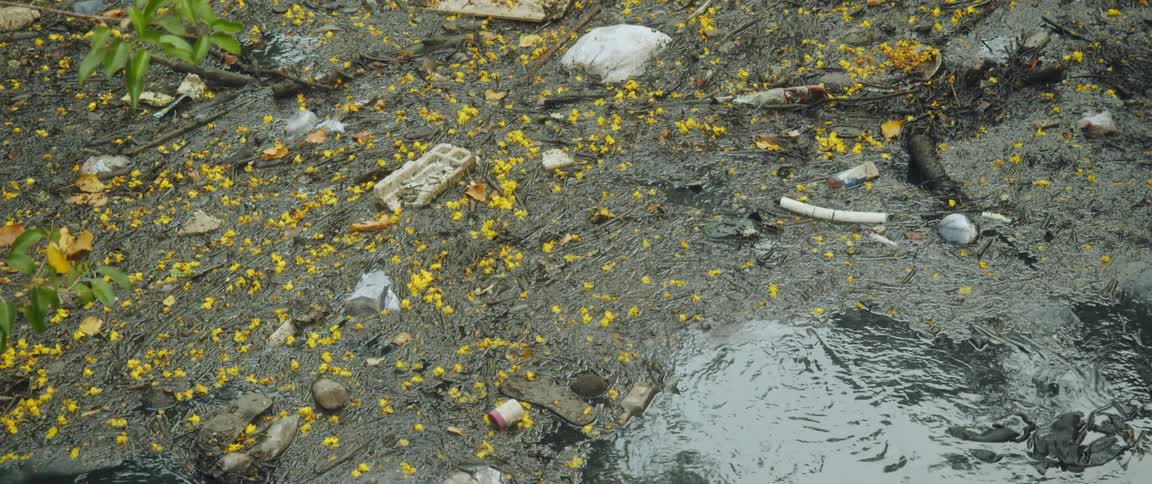 Body of polluted water