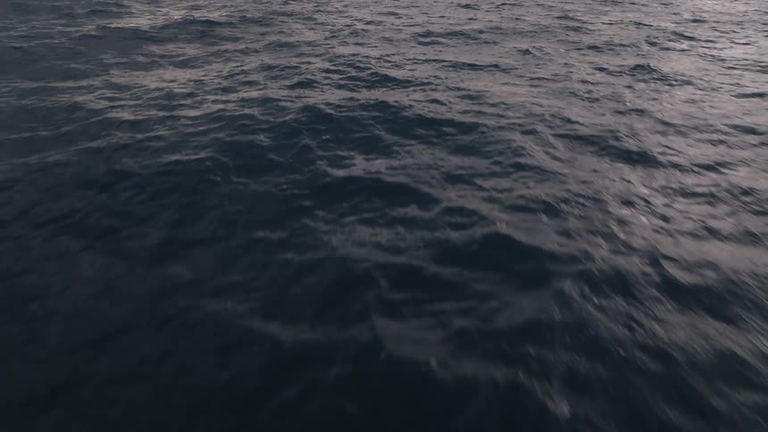 The sea rippling with small waves