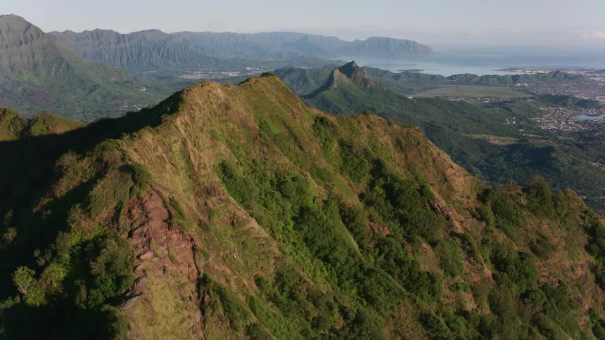 Plants and vegetation grow on a mountain ridge with neighborhoods between the mountains along the coast