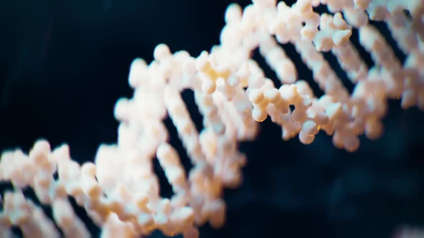 The dna strand is spinning