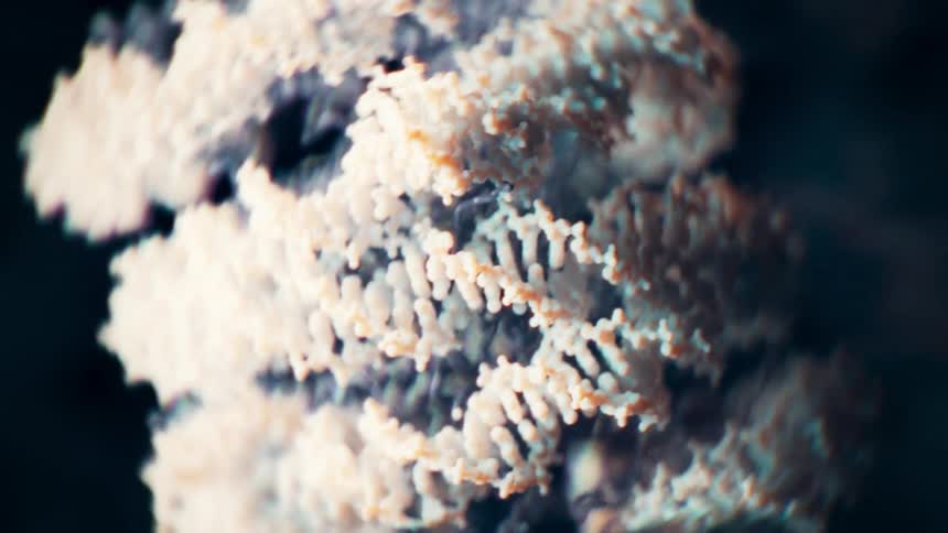 Rotating Nucleosome(DNA + Histone)