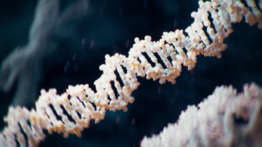 The view is of different Nucleosome(DNA + Histone) and colors in the water