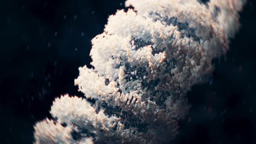 Close up of Nucleosome