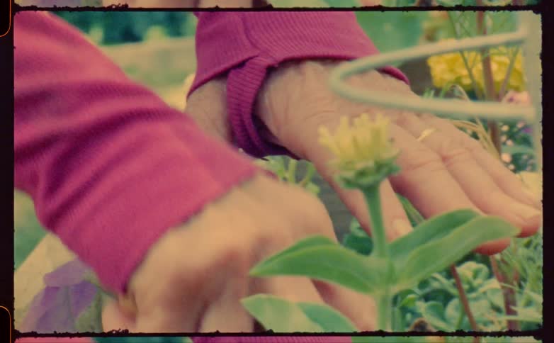 A woman gardening flowers