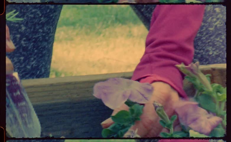 A close up of a woman using a tool in her flower garden