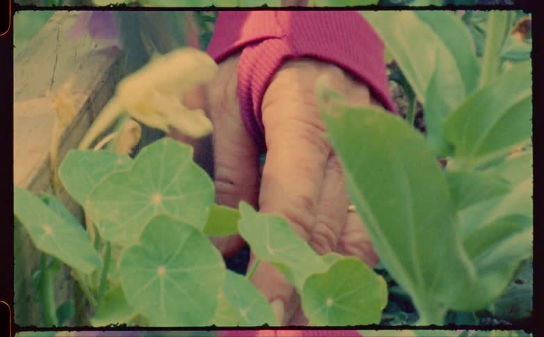 Two hands use a trowel to dig into the dirt in a planter