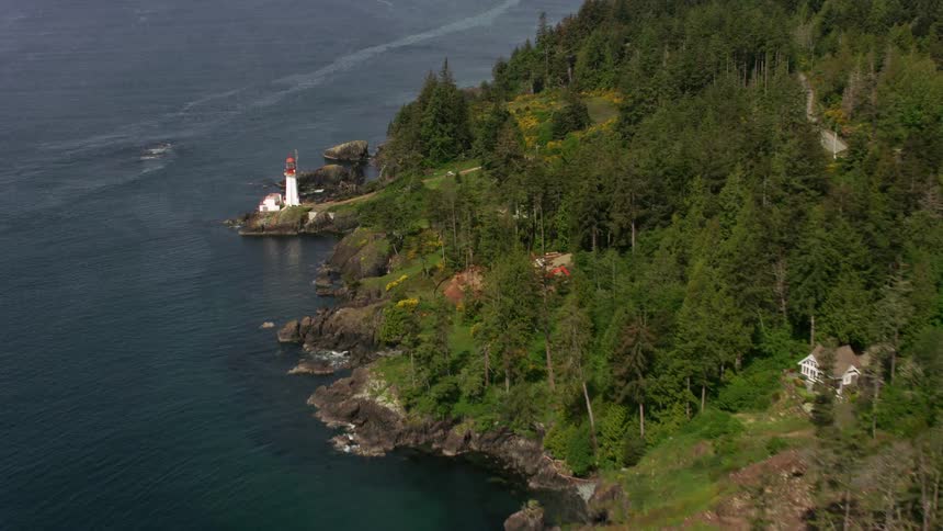 A coastal forest with a lighthouse at its edge