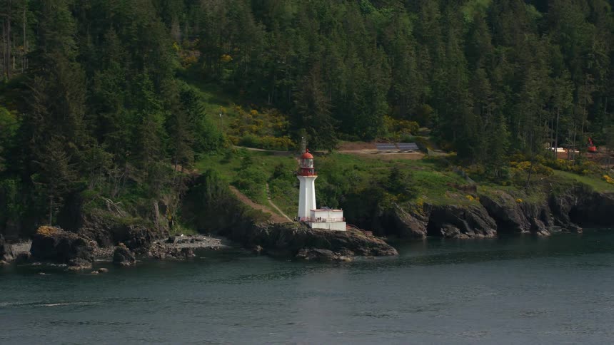 A lighthouse by the sea on the edge of a forest