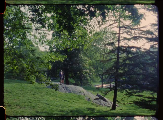 White dog runs toward people standing on rock outcropping in park