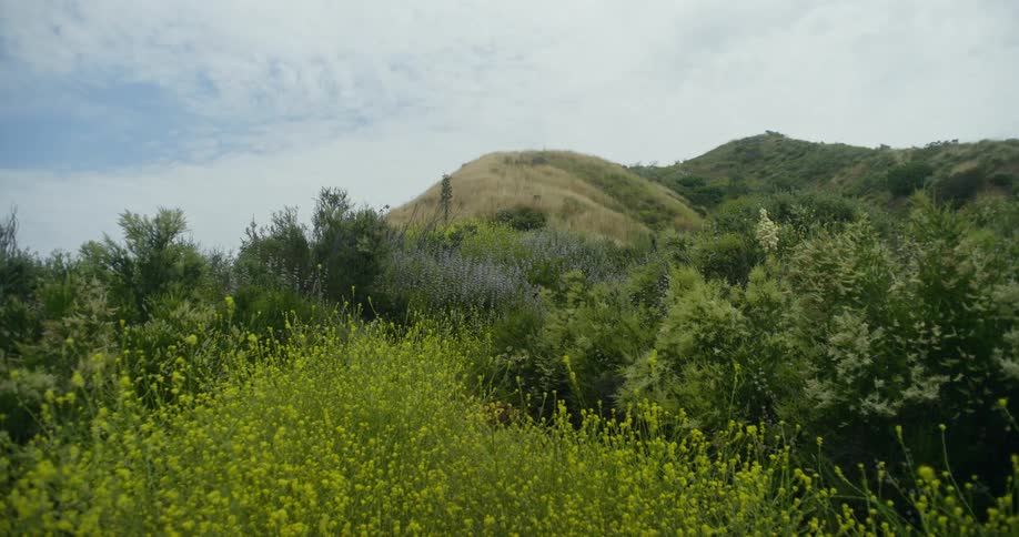 The mountain is covered in grass