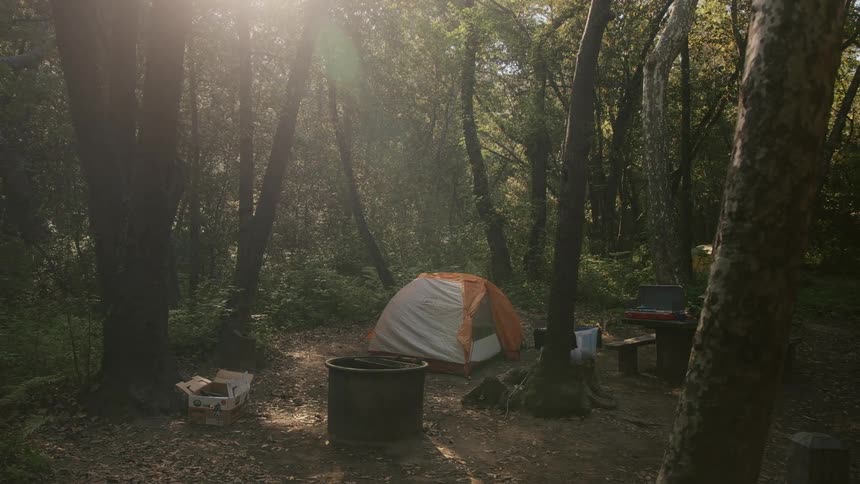 White and orange tent in the forest