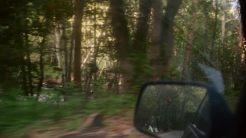 River on the forest seen from a moving vehicle at morning
