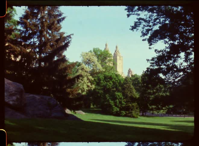Tall buildings in the distance as tall trees and bushes cover it up and grass covers the lawn