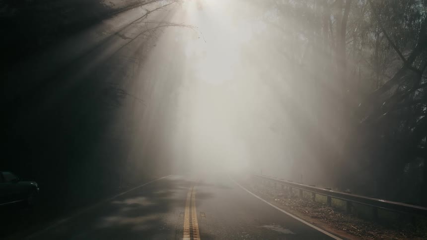 Light rays shine through tree branches onto highway on foggy day