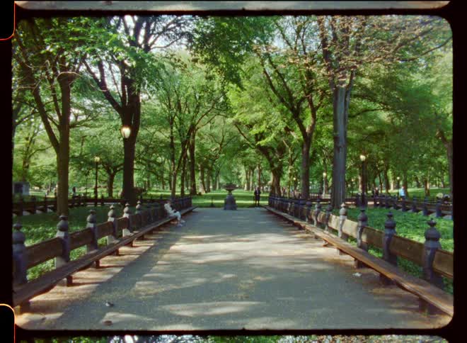 Path on a tranquil park at morning caught on vintage film
