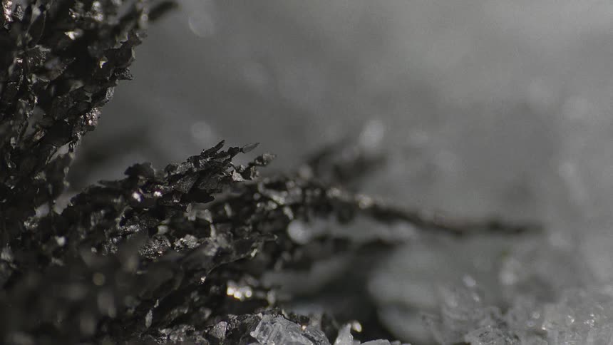 Jagged tendrils form frozen clusters surrounded by pale icy crystals