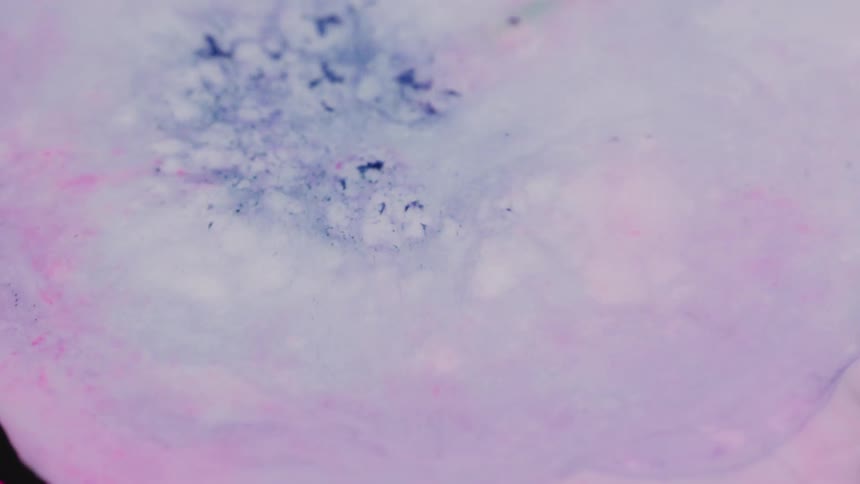 A black and purple liquid is not moving until white and blue liquid is dropped into it