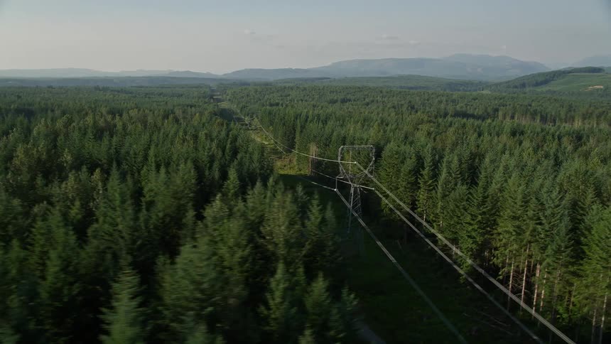 Aerial flyby of an evergreen forest in King County Washington revealing a row of power lines